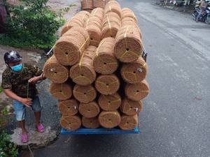 Corde en fibre de coco à torsion équilibrée pour le support des plantes en aménagement paysager et l'approvisionnement commercial - Product Image 4