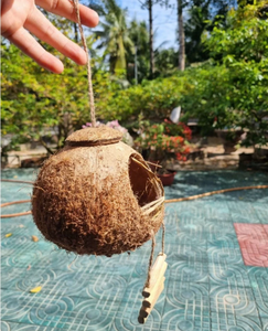 Casa para Pájaros de Coco Natural / Nido para Pájaros Hecho con Conchas de Coco, Fabricado en Green Future Vietnam - Product Image 4