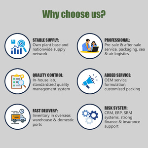 Probiotik Gummy Vegan Organik Bebas Gluten Harga Terbaik untuk Kesehatan Usus Dewasa, 60 Butir, Bersertifikat GMP, Keuntungan Pencernaan - Product Image 5