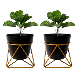 Juego de 2 Macetas de Metal Negro con Soportes de Hierro, Macetas Elevadas Modernas para Decoración Interior Contemporánea, Jardín Interior - Product Image 1