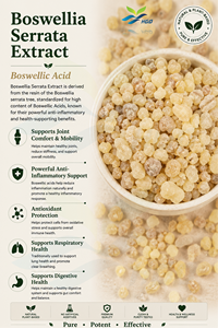 Approvisionnement direct de l'usine HGO en extrait naturel pur de Boswellia serrata (qualité alimentaire) acide boswellique 45%-95% (extrait standardisé) - Product Image 2