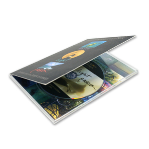 กล่องดีวีดีแบบดิจิแพคขนาดมาตรฐาน 4 แผ่น พร้อมถาดเดี่ยว - Product Image 3