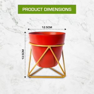 Ensemble de 2 jardinières en métal rouge avec supports en fer, pots de fleurs surélevés élégants pour la décoration de jardin intérieur moderne, maison contemporaine - Product Image 2
