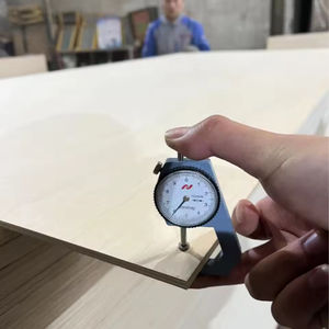 Contrachapado de Abedul de Alta Calidad de 18 mm, Núcleo de Pino E0, Material Moderno para Uso en Interiores, para Manualidades, Diseño Gráfico, para Sala de Estar y Dormitorio - Product Image 4