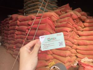 Bâtons d'encens en poudre de bois blanc de qualité supérieure, Agarbatti, respectueux de l'environnement, encens religieux, export direct du fabricant du Vietnam - Product Image 3