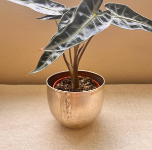 Pot de fleurs en laiton classique luxueux pour la décoration de la maison et les fournitures de jardin, design classique de forme ronde pour la décoration intérieure et extérieure - Product Image 5