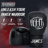 Gants de boxe professionnels personnalisables avec logos, en cuir, pour sparring, Muay Thai, Kickboxing, anti-humidité, toutes tailles et couleurs, à lacets