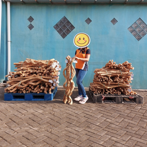 Liana L60-80 Ecológica Decorativa para Acuarios, Terrarios y Vivarios, para Suministros de Aves - Product Image 4