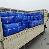 Bâche de protection en HDPE pour briquettes de biomasse, résistante à l'humidité, imperméable, longue durée de vie, pour stockage extérieur et transport