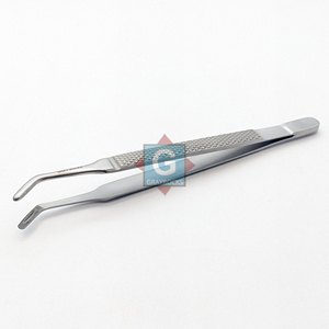 Pinzas de Extracción Manuales de Acero Albrecht Gray Rocks -1414-43, Instrumento Quirúrgico Dental de Clase I con Certificación CE - Product Image 1