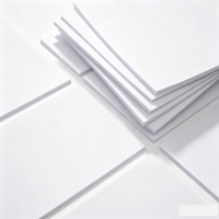 Papier Copie Blanc A4 210*297mm pour Imprimante Laser et Jet d'Encre, Fournisseur d'Usine