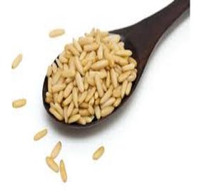 Pignons de pin frais avec échantillon gratuit - Product Image 5