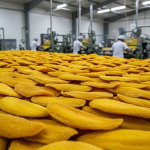 Tiras de mango masticables doradas Premium de Vietnam, bocadillo de frutas tropicales secas naturales para exportación - Product Image 5