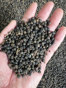 พริกไทยดำราคาถูก - เมล็ดพริกไทยรสเผ็ดร้อน 100% จากธรรมชาติ ราคาดีที่สุดสำหรับประเทศในแอฟริกา |   Whatsapp +84 969 732 947 - Product Image 2