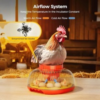Incubateur pour œufs à couver Affichage de contrôle de la température et de l'humidité pour œufs de caille de canard pour usage domestique agricole 12 incubateurs d'œufs