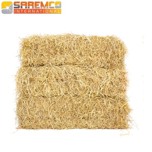 Emballage de paille de blé par le meilleur fournisseur mondial/paille de blé hachée/paille de blé de qualité A pour aliments pour animaux du Pakistan - Product Image 1