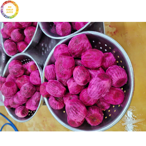 Dragon Fruit Congelé IQF de 1ère Qualité, Demi-Cubes, Dés et Tranches Sucrés, Emballés Sous Vide, Fruits Tropicaux, Vente en Gros Directe Usine - Product Image 5
