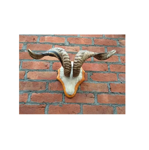 Escultura de Cuerno de Animal Rústica con Base de Madera, Centro de Mesa Decorativo para Hogar u Oficina, Regalo, Venta al por Mayor - Product Image 3