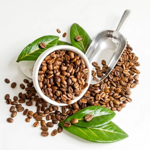 Roasted Coffee 80% Robusta 20% Arabica <b>Beans</b> Freshly Packed for Wholesale S16 S18 New Crop Gia Lai Vietnam - Product Image 3