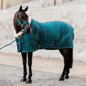Wholesale High quality Horse <b>Rugs</b> Equestrian equipment new design Horse <b>Rugs</b> 100% cotton customized logo waterproof low MOQ - Product Image 2