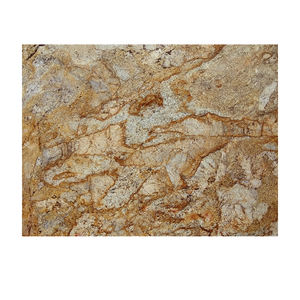 Baldosas de Granito Alask Gold de Alta Resistencia para Cocina, Baño y Aplicaciones Exteriores - Product Image 1