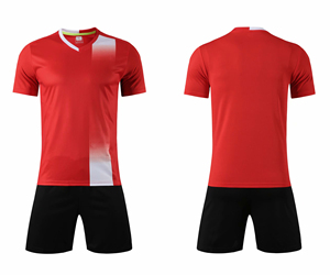 Uniforme de Fútbol Juvenil al por Mayor, 100% Poliéster, Cómodo y Moderno, Ropa Deportiva de Buena Calidad - Product Image 3