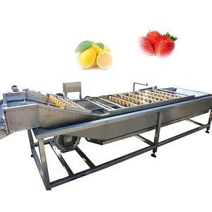 เครื่องซักผ้าสตรอเบอร์รี่แบบฟองสแตนเลสขนาดเล็กแบบอัตโนมัติสำหรับผักผลไม้พริกแอปเปิ้ล - Product Image 3