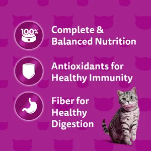 อาหารแมวเปียกสำหรับแมวโต วิสกัส รสชาติอร่อย ผสมไก่และปลาแซลมอน สาหร่ายวากาเมะ 70 กรัม - อุดมด้วยโปรตีน ผสมผักและอาหารทะเล - Product Image 4