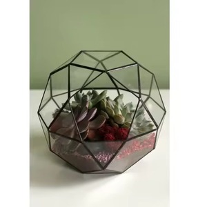 Contemporary <b>Frame</b> Indoor Metal Terrarium Glass Planter Decorative <b>Plant</b> Holder Home Accent - Product Image 5