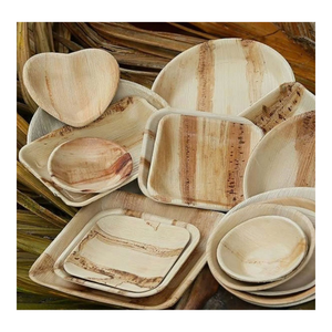 Platos de Hoja de Palma de Areca Biodegradables de Calidad Premium para Soluciones Sostenibles de Restaurantes y Servicios de Alimentos - Product Image 4