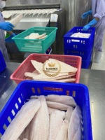Filet de Pangasius Hypophthalmus du Vietnam surgelé, processus de congélation LQF, nutritif, 80% NW, certifié HALAL, sac de 1 kg, TAKIMEX Seafood
