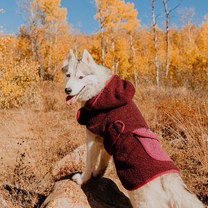 Ropa de Invierno para Mascotas, Chaqueta y Abrigo Acolchados con Tela de Forro Polar Cálido, los Más Vendidos, Última Moda, Abrigo para Mascotas de la Mejor Calidad - Product Image 6