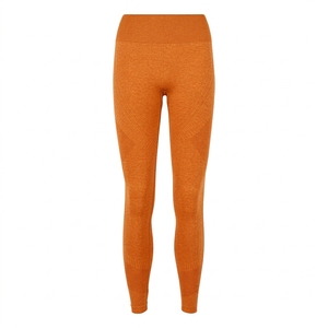 Leggings de sport sans couture pour femmes, taille haute, pour entraînement, yoga, fitness, gym, course à pied, vêtements de sport - Product Image 5
