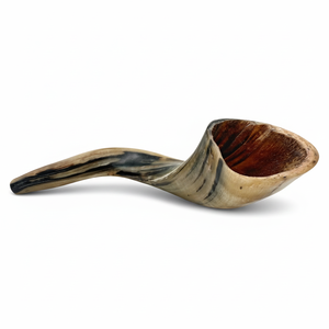 Shofar en corne de bélier naturelle, brut, fait main, non fini, pour la fabrication de shofars et l'artisanat - Product Image 6