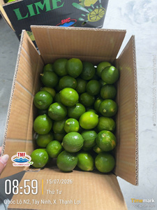 Citron vert frais, fruit d'agrumes mûr du Vietnam, stockage à froid, saveur naturelle, pour usage commercial - Product Image 3