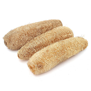 Meilleur choix : exfoliant corporel en fibres végétales de loofah pleine grandeur, exporté du Vietnam - Product Image 3
