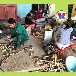 Bâtonnet à mâcher en bois de café écologique, longue durée, pour chiots, jouet d'hygiène buccale, le plus vendu, Vietnam - Product Image 2