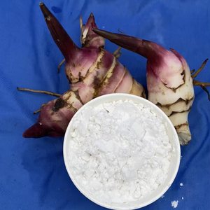 Poudre d'amidon d'arrowroot biologique saveur naturelle pour aliments et ingrédients, emballée en sac, provenant du Vietnam - Vente chaude - Product Image 1