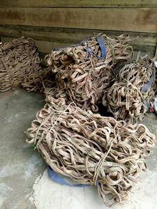 Vente en gros de lianes forestières naturelles torsadées pour la décoration rustique de la maison et de mariage, lianes séchées, approvisionnement direct d'usine du Vietnam - Product Image 4