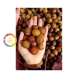 เมล็ดสบู่สีน้ำตาลแห้งทรงกลมธรรมชาติจากเวียดนาม สำหรับซักผ้า ผลิตภัณฑ์ยอดนิยมในเอเชีย ผลิตจากสมุนไพรธรรมชาติ ช่วยสร้างฟองสบู่ - Product Image 5