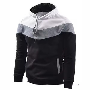 Premium Blank Hoodies Heavyweight Cotton Hooded Sweatshirts Custom Logo OEM ODM Wholesale Supplier - Product Image 2
