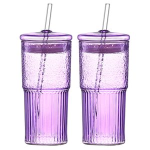 Set di 2 Bicchieri in Vetro Borosilicato Viola da 20 oz con Motivo Verticale, Tazza Resistente al Calore per Succhi con Coperchio - Product Image 1