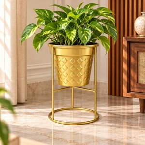 Soporte para Macetas de Hierro, Diseño Moderno, Ecológico, Duradero, Personalizable en Color, para Plantas de Interior, Nuevo y Popular - Product Image 1