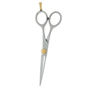 Tijeras de Peluquería Profesionales al por Mayor con Logotipo Personalizado, de Acero Inoxidable, Color Plateado, con Tornillo de Ajuste Dorado - Product Image 2