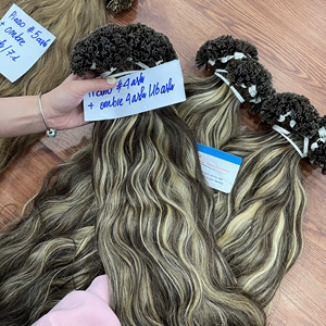 Extensions de cheveux humains vietnamiens bruts à pointe en U en kératine, cuticules alignées, double épaisseur, haute qualité - Product Image 1