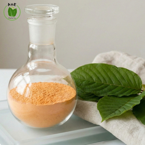 Customer Best Choice Herbal <b>Extract</b> 7-OH MIT Leaf Powder 80% Artificial Planting Solvent Extraction Vacuum Packed Pharmaceutical - Product Image 1