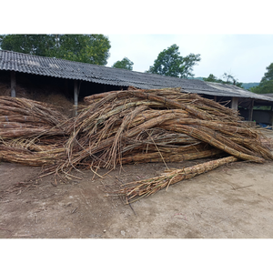 Varas de Ratán, Cañas de Ratán, Suministro al por Mayor para Exportación con Precio Competitivo, Cañas para Tejer Cestas - Product Image 6