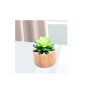Maceta de madera ecológica para mesa, decoración de balcón, maceta de madera al mejor precio - Product Image 1