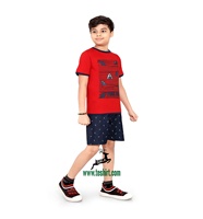 Conjuntos de 2 Piezas de Camiseta y Pantalones Cortos Casuales de Algodón Orgánico 100% para Niños, Ropa de Verano para Bebés, Transpirable, Venta al Por Mayor OEM