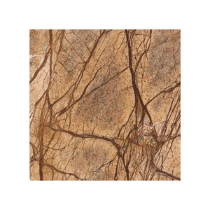 Dalles de marbre brun naturel de forêt tropicale de qualité supérieure pour comptoirs, revêtements de sol, murs et applications intérieures - Product Image 3